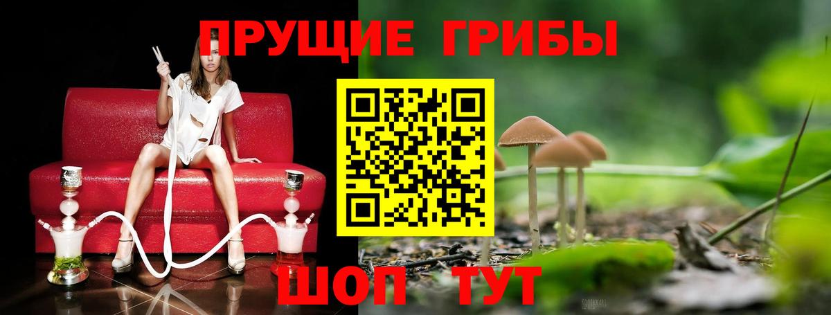 Галлюциногенные грибы Psilocybe  Вход с VPN  Лосино-Петровский 