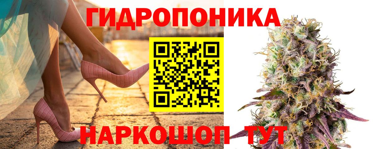 APVP Лосино-Петровский